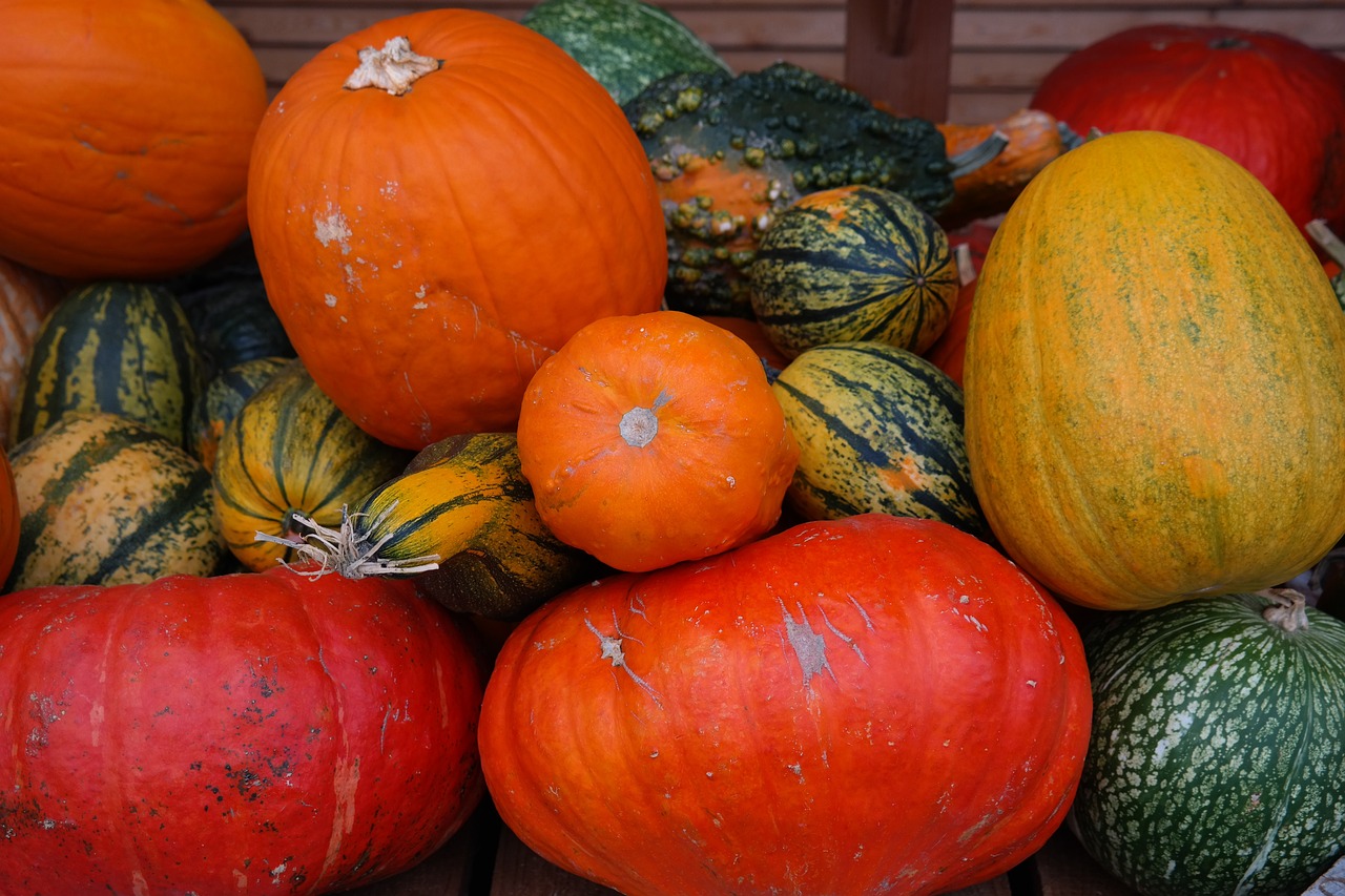 Courge