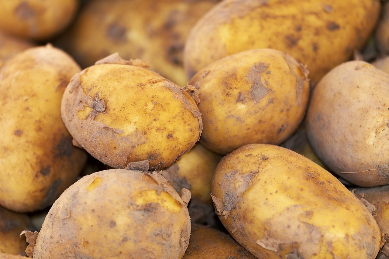 Pomme de terre