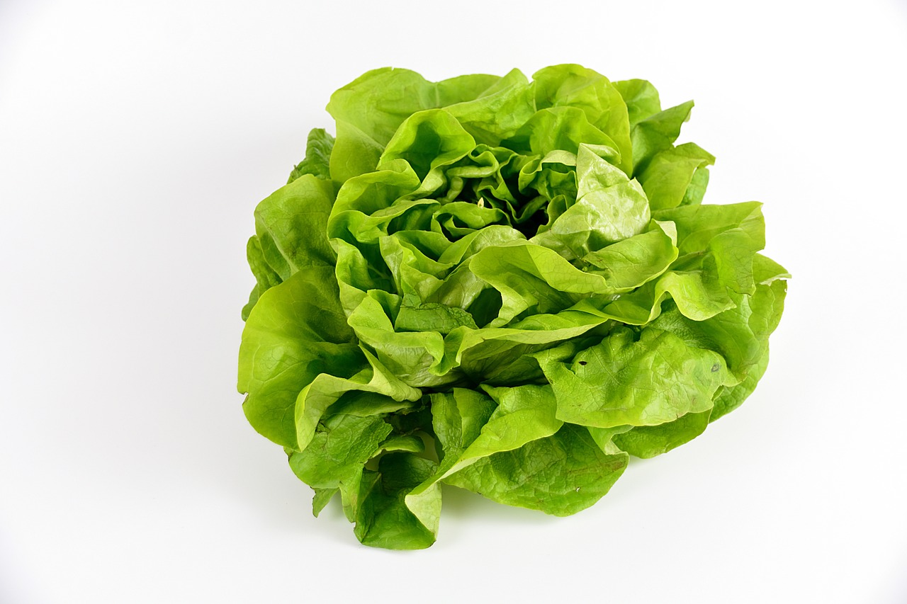 Salade